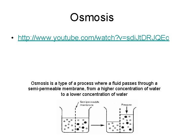 Osmosis • http: //www. youtube. com/watch? v=sdi. Jt. DRJQEc Osmosis is a type of