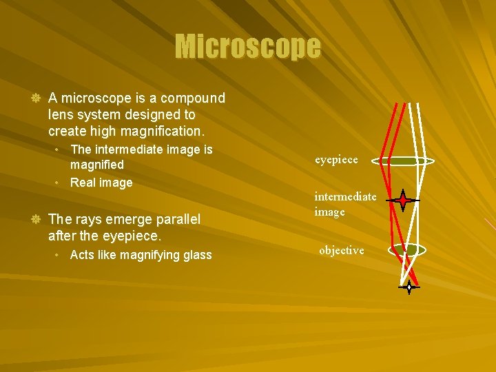 Microscope ] A microscope is a compound lens system designed to create high magnification.