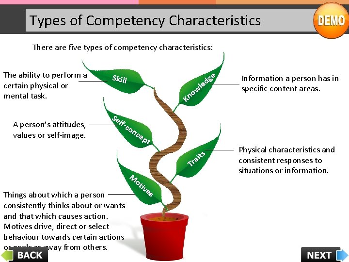 Types of Competency Characteristics There are five types of competency characteristics: The ability to