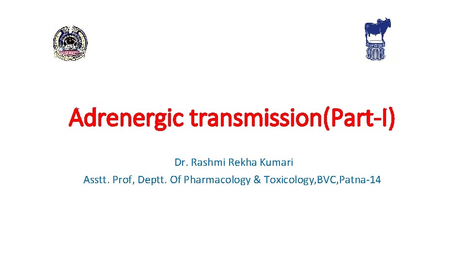 Adrenergic transmission(Part-I) Dr. Rashmi Rekha Kumari Asstt. Prof, Deptt. Of Pharmacology & Toxicology, BVC,