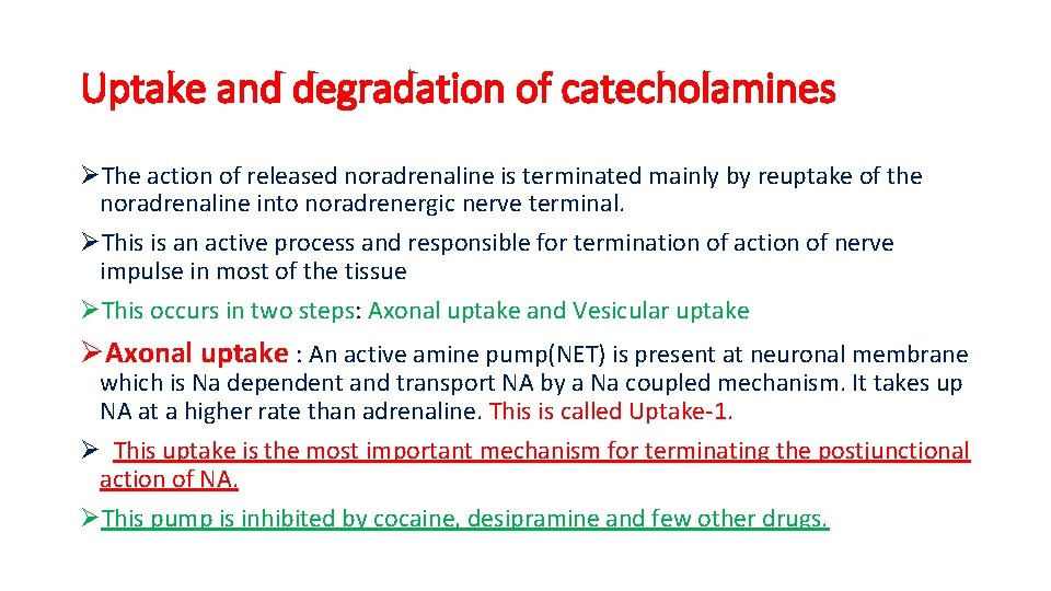 Uptake and degradation of catecholamines ØThe action of released noradrenaline is terminated mainly by
