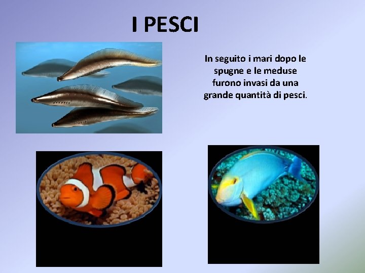 I PESCI In seguito i mari dopo le spugne e le meduse furono invasi