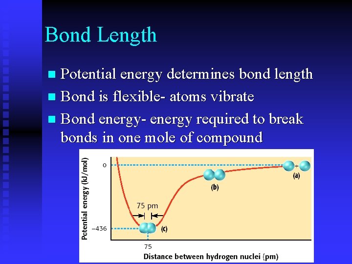 Bond Length Potential energy determines bond length n Bond is flexible- atoms vibrate n