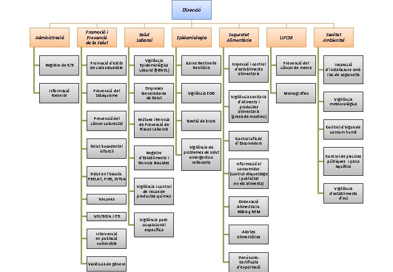 Direcció Administració Promoció i Prevenció de la Salut Laboral Epidemiologia Registre de E/S Promoció