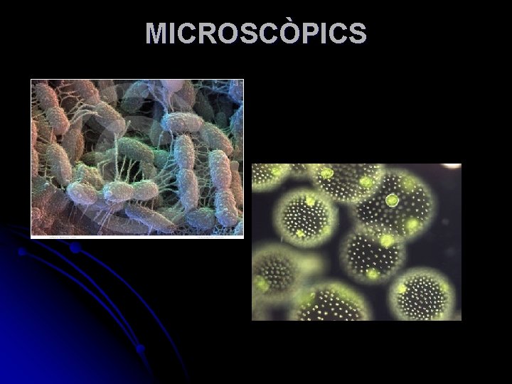 MICROSCÒPICS 