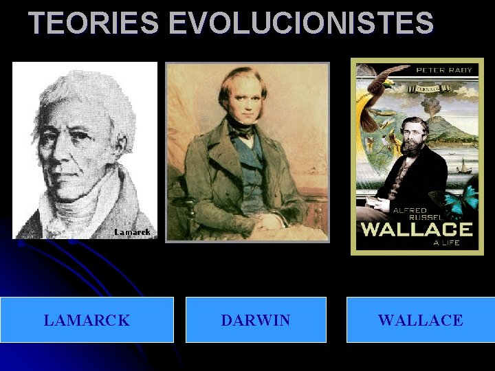 TEORIES EVOLUCIONISTES LAMARCK DARWIN WALLACE 