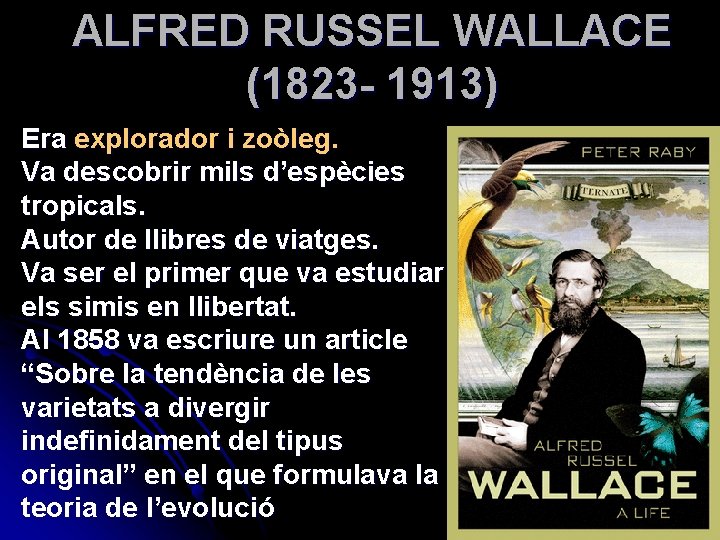 ALFRED RUSSEL WALLACE (1823 - 1913) Era explorador i zoòleg. Va descobrir mils d’espècies