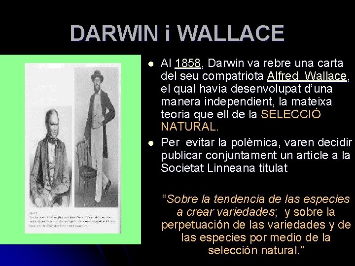 DARWIN i WALLACE l l Al 1858, Darwin va rebre una carta del seu