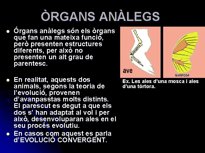 ÒRGANS ANÀLEGS l Órgans anàlegs són els òrgans que fan una mateixa funció, però
