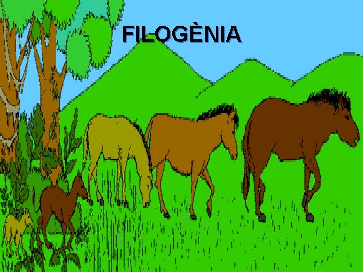 FILOGÈNIA 