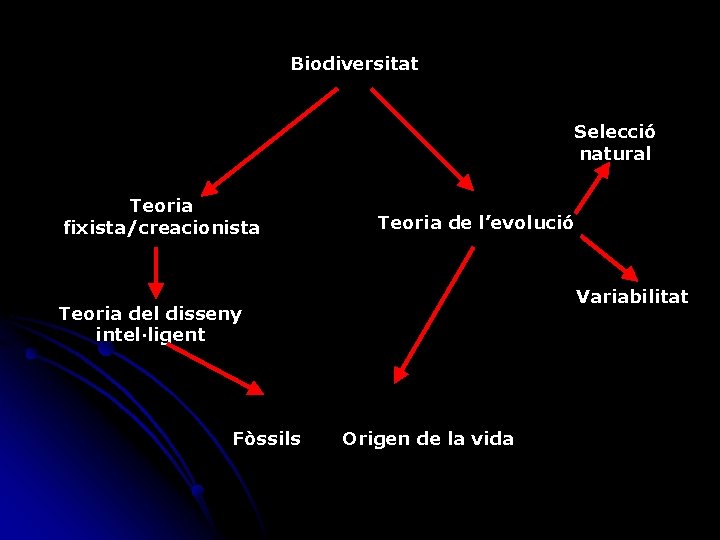 Biodiversitat Selecció natural Teoria fixista/creacionista Teoria de l’evolució Variabilitat Teoria del disseny intel·ligent Fòssils