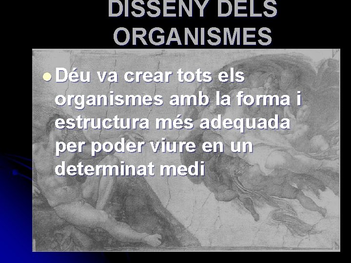 DISSENY DELS ORGANISMES l Déu va crear tots els organismes amb la forma i