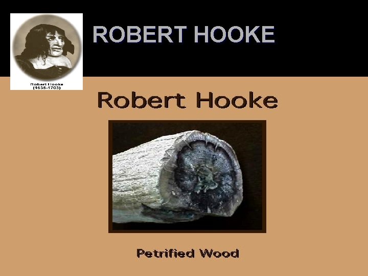 ROBERT HOOKE 