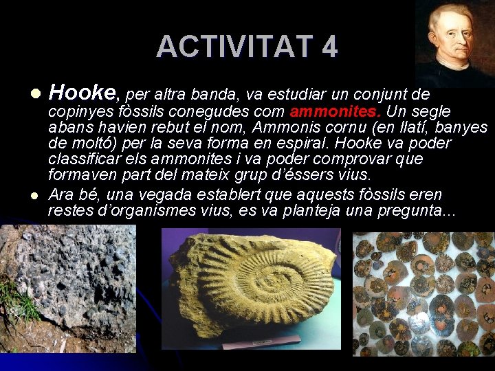 ACTIVITAT 4 l l Hooke, per altra banda, va estudiar un conjunt de copinyes