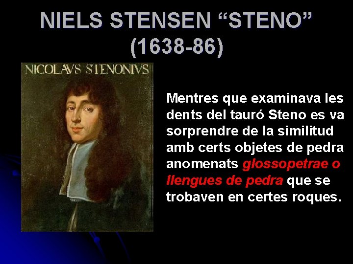 NIELS STENSEN “STENO” (1638 -86) Mentres que examinava les dents del tauró Steno es