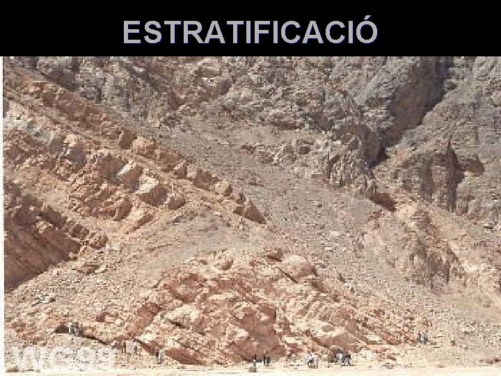 ESTRATIFICACIÓ 