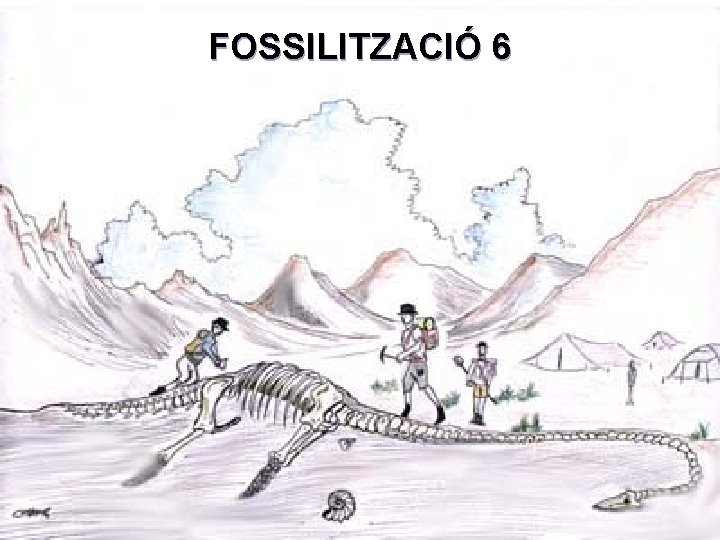 FOSSILITZACIÓ 6 