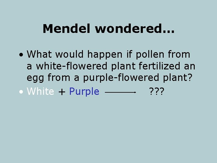 Mendel wondered… • What would happen if pollen from a white-flowered plant fertilized an