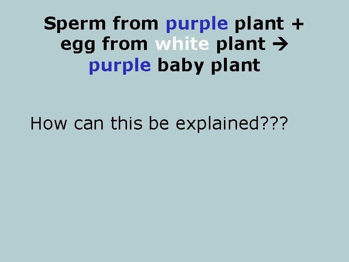 Sperm from purple plant + egg from white plant purple baby plant How can
