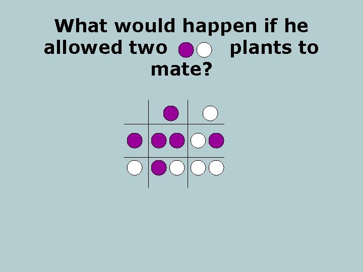 What would happen if he allowed two plants to mate? 
