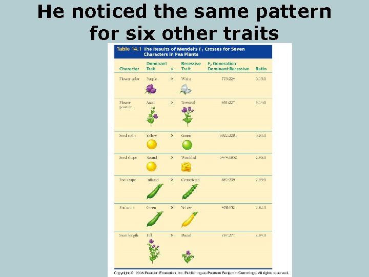 He noticed the same pattern for six other traits 