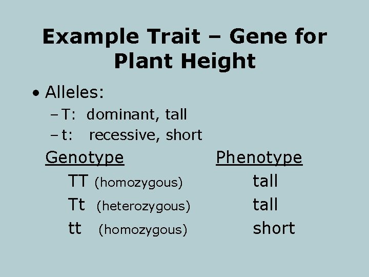 Example Trait – Gene for Plant Height • Alleles: – T: dominant, tall –