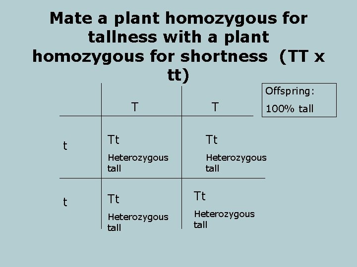 Mate a plant homozygous for tallness with a plant homozygous for shortness (TT x