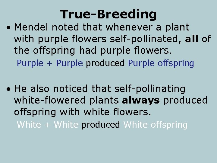 True-Breeding • Mendel noted that whenever a plant with purple flowers self-pollinated, all of