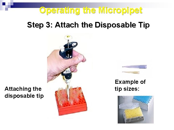 Operating the Micropipet Step 3: Attach the Disposable Tip Attaching the disposable tip Example