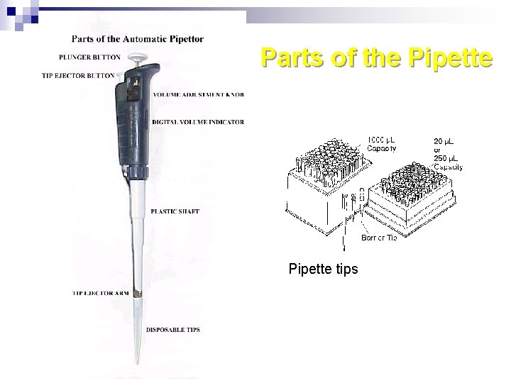 Parts of the Pipette tips 