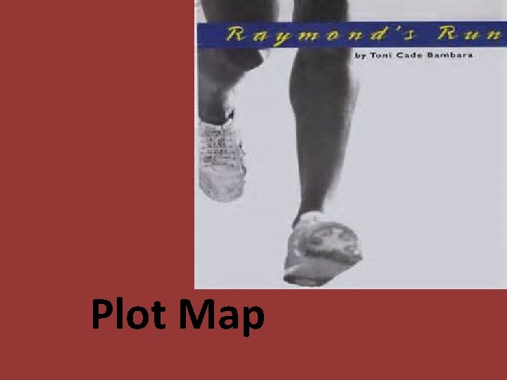 Plot Map 