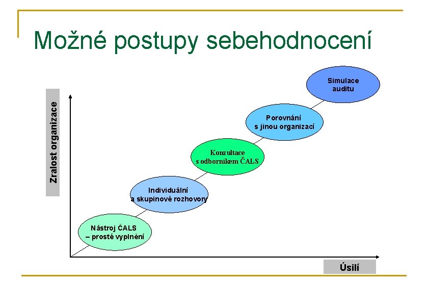 Možné postupy sebehodnocení Zralost organizace Simulace auditu Porovnání s jinou organizací Konzultace s odborníkem