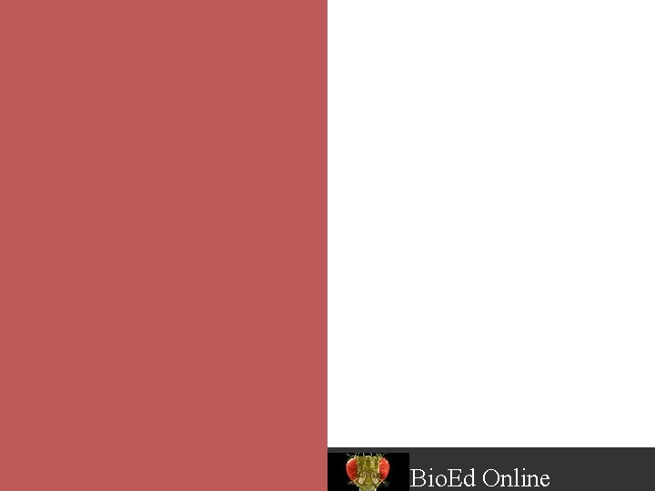 Balances and Glassware for Solution Preparation By David R. Caprette, Ph. D. Rice University