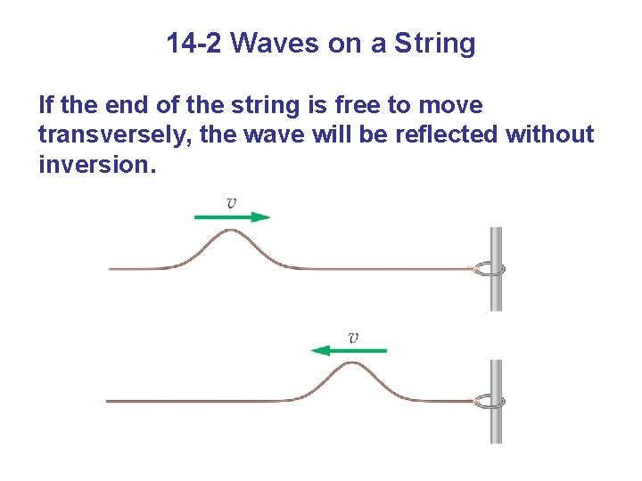 14 -2 Waves on a String If the end of the string is free