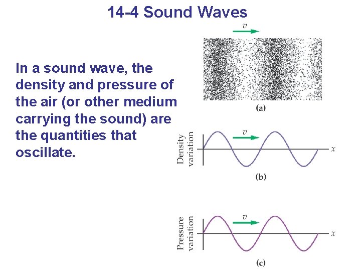 14 -4 Sound Waves In a sound wave, the density and pressure of the