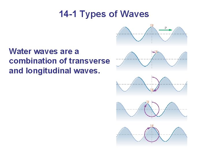 14 -1 Types of Waves Water waves are a combination of transverse and longitudinal