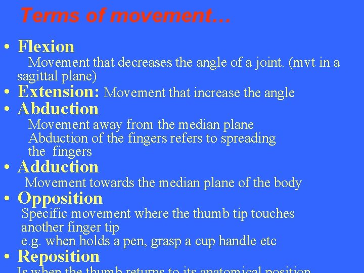 Terms of movement… • Flexion Movement that decreases the angle of a joint. (mvt