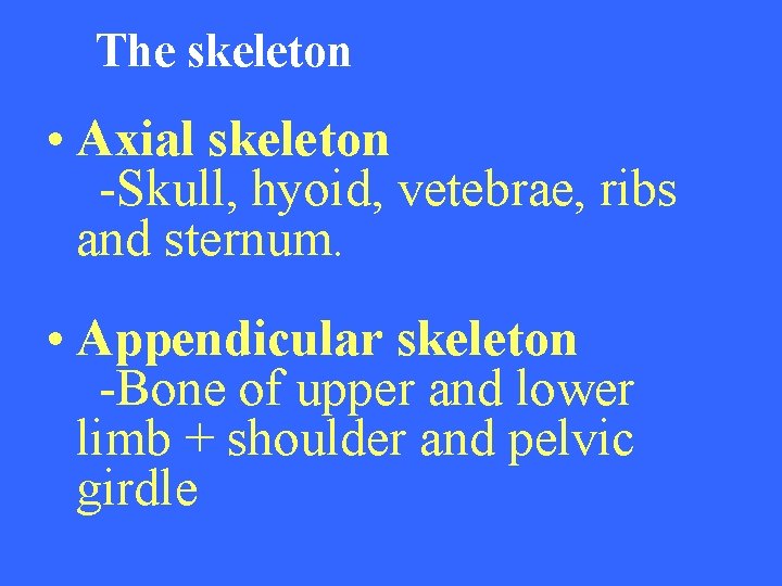 The skeleton • Axial skeleton -Skull, hyoid, vetebrae, ribs and sternum. • Appendicular skeleton