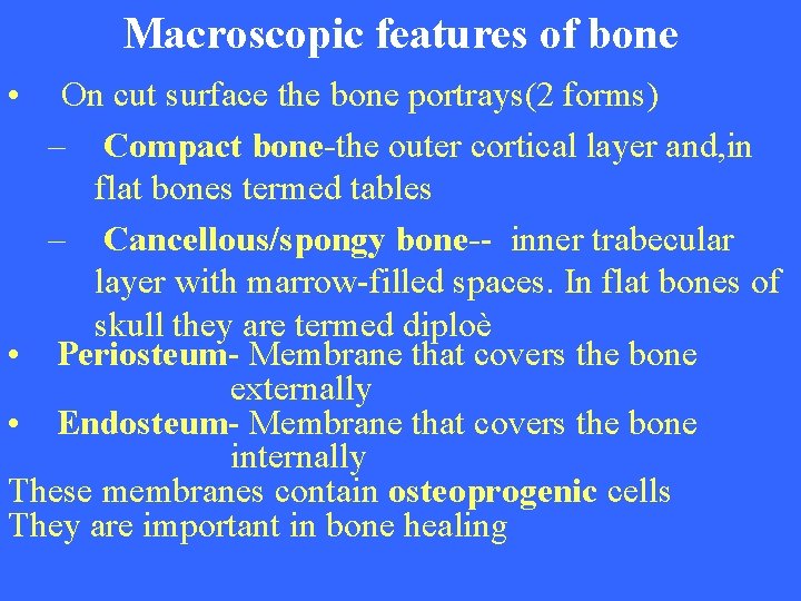 Macroscopic features of bone • On cut surface the bone portrays(2 forms) – Compact