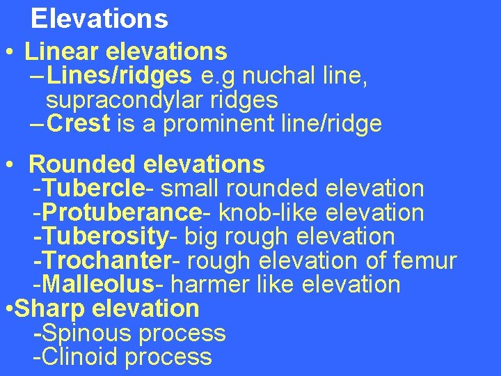 Elevations • Linear elevations – Lines/ridges e. g nuchal line, supracondylar ridges – Crest