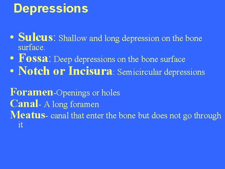 Depressions • Sulcus: Shallow and long depression on the bone surface. • Fossa: Deep