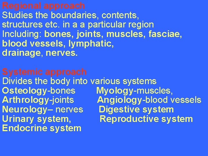 Regional approach Studies the boundaries, contents, structures etc. in a a particular region Including: