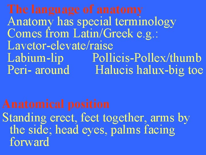 The language of anatomy Anatomy has special terminology Comes from Latin/Greek e. g. :