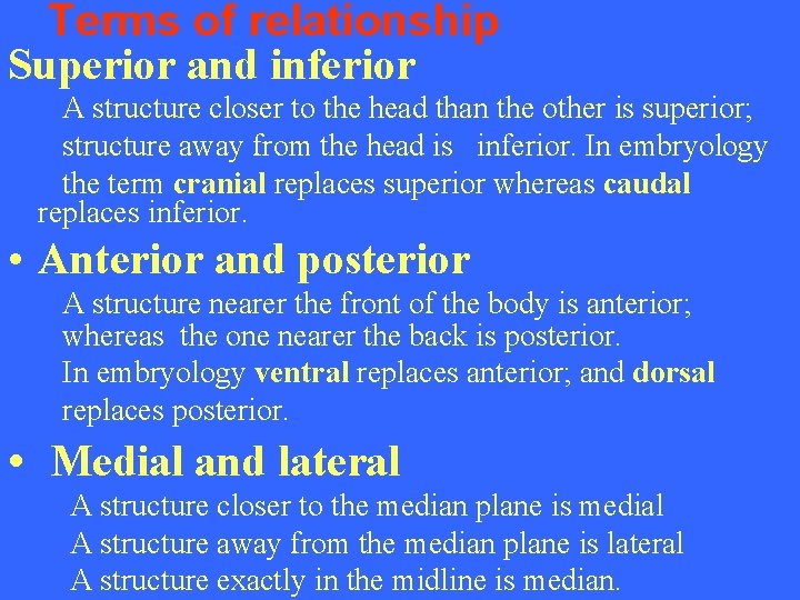 Terms of relationship Superior and inferior A structure closer to the head than the