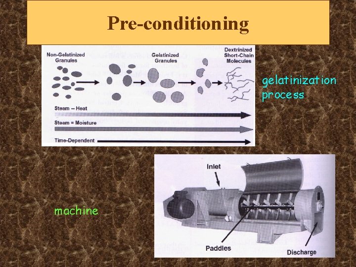 Pre-conditioning gelatinization process machine 