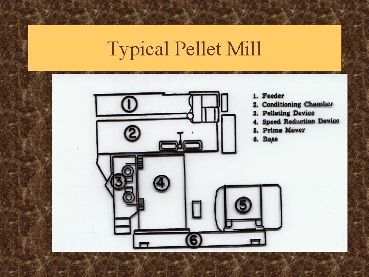 Typical Pellet Mill 