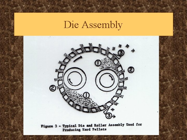 Die Assembly 