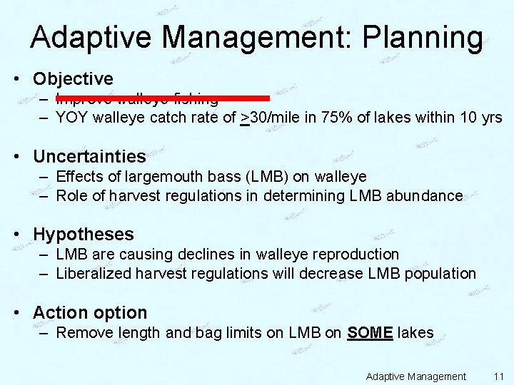 Adaptive Management: Planning • Objective – Improve walleye fishing – YOY walleye catch rate