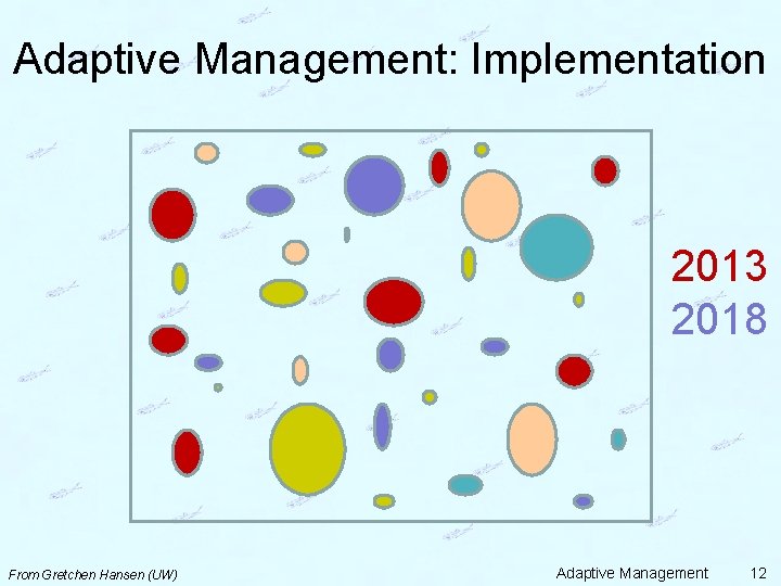 Adaptive Management: Implementation 2013 2018 From Gretchen Hansen (UW) Adaptive Management 12 