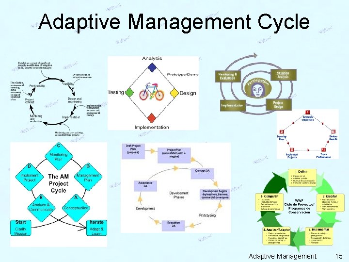 Adaptive Management Cycle Adaptive Management 15 